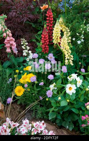 Un jardin de rockery et de fleurs coloré avec plantation mixte et associations de plantes Banque D'Images