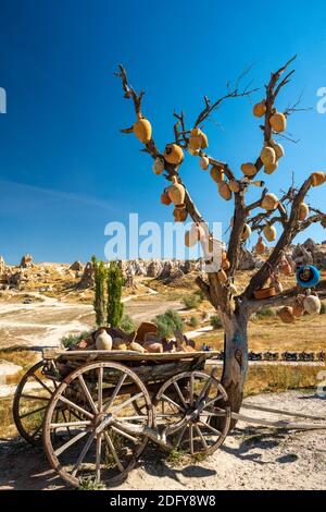 Les branches de l'ancien arbre décoré avec des amulettes oeil mauvais Nazars, Goreme, Cappadoce, Turquie. Banque D'Images