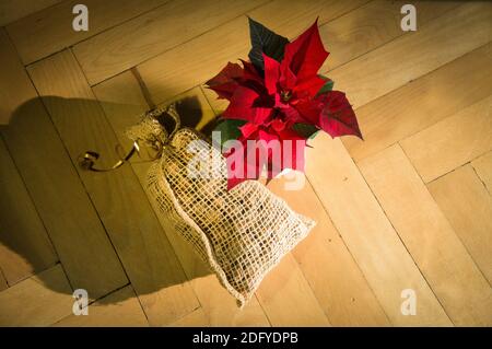 Décorations de Noël sur parquet, fleur de Noël (Euphorbia pulcherrima), étoile, sac de jute, sac plein de noix, Pruhonice, République Tchèque Banque D'Images