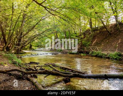 Cascades sur la rivière Tanew, Szumy nad Tanwia, réserve naturelle de Tanew, Roztocze, Lublin Voivodeship, Pologne Banque D'Images