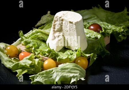 Le fromage Afuega'l pitu est un type de fromage fabriqué dans la Principauté des Asturies, en Espagne. L'un des plus répandus dans les Asturies, il a été fait sur s. Banque D'Images