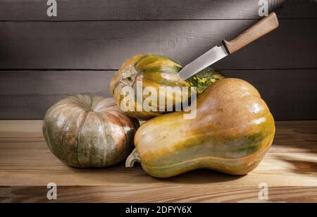 Dans le sous-sol frais, les citrouilles mûres sont stockées sur une étagère en bois. Vue avant, gros plan, espace de copie. Banque D'Images