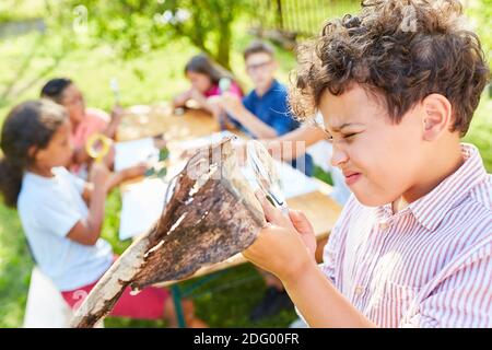 Garçon regarde curieusement l'écorce de l'arbre à travers une loupe au camp d'été écologique Banque D'Images