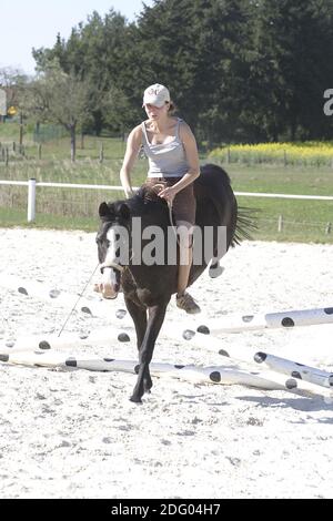 Leçons d'équitation, entraînement de saut, entraînement d'équitation Banque D'Images