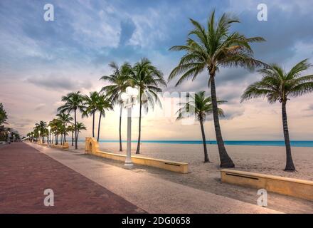 Hollywood Beach, Floride. Palmiers à noix de coco sur la plage et lumières de rue illuminées sur la promenade au crépuscule. Banque D'Images