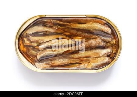 Une boîte ouverte de poisson fumé en conserve dans l'huile, sur fond blanc isolé. Banque D'Images