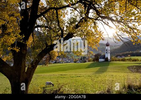 L'église San Valentino et l'Alp Siusi en automne. Castelrotto, province de Bolzano, Trentin-Haut-Adige, Italie, Europe. Banque D'Images