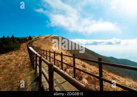 La crête de montagne au parc national de Sobaeksan à Danyang, en Corée du Sud. Banque D'Images