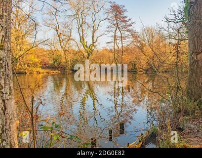 Reflets colorés et ondulés de l'automne vus sur l'étang Banque D'Images