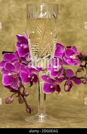 Joyeux Anniversaire Carte Avec Orchidee Rose Photo Stock Alamy