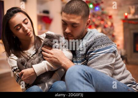 Couple joyeux jouant avec leur chat le jour de noël. Banque D'Images