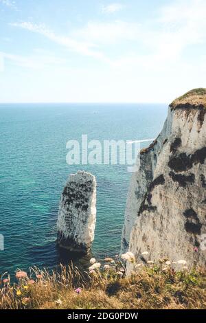 L'été à Old Harry Rocks Banque D'Images