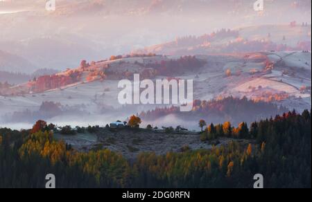 Paysage rural d'automne majestueux. Paysage avec de belles montagnes, champs et forêts couverts de brouillard du matin. Il y a des arbres sur la pelouse pleine de ou Banque D'Images