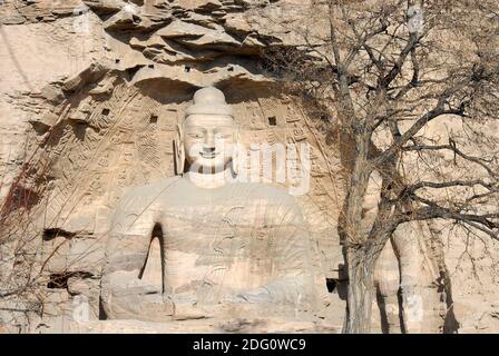 Grottes de Yungang près de Datong dans la province du Shanxi, en Chine. Grotte 20, les statues de Bouddha les plus célèbres du Yungang. Vue avant avec arbre. Banque D'Images