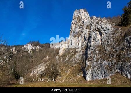 Oberes Donautal BEI Fridingen, Stiegelesfels Banque D'Images