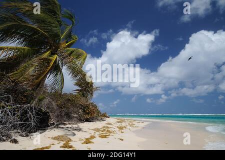 Flamenco Beach Banque D'Images