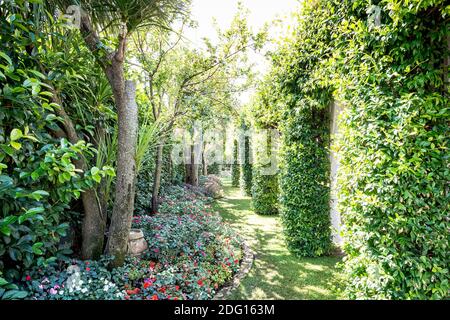 Le magnifique jardin de la Villa Eva dans la ville de Ravello Italie. Un lieu de mariage renommé et une villa privée. Jardin verdoyant. Banque D'Images