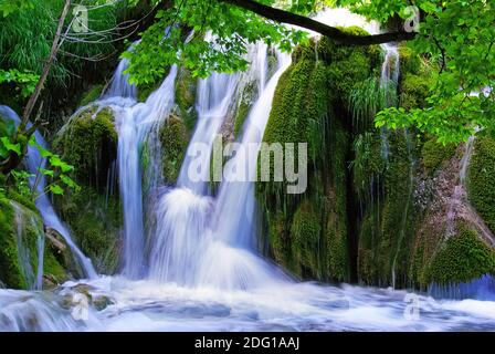 Cascade dans le parc national de Plitvice Jezera Banque D'Images