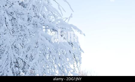 Paysage d'hiver de Fosty dans la forêt enneigée, en arrière-plan d'hiver Banque D'Images