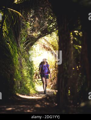 Femme marchant dans la forêt sur le Abel Tasman Coast Track Banque D'Images