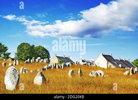 Alignements des mégalithes à Carnac en Bretagne, France. Banque D'Images