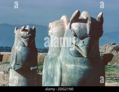 Chapiteaux à double tête du palais Achaemenid Apadana, construit par Darius I et Xerxes I, Persepolis, Iran Banque D'Images