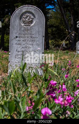 Un marqueur de sépulture dans le cimetière situé à l'église Sainte-Marie-Madeleine, à la sortie de l'autoroute 1, dans le littoral national de point Reyes Banque D'Images