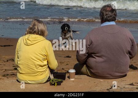 Un couple et leur spaniel apprécient le soleil sur la côte du Kent près de Margate, Thanet, Angleterre Banque D'Images