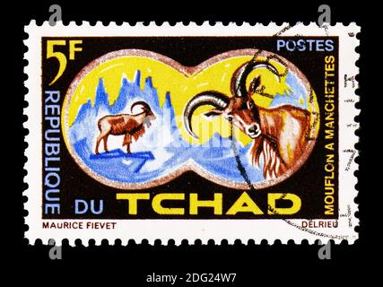 MOSCOU, RUSSIE - 18 AOÛT 2018 : un timbre imprimé au Tchad montre le mouton de Barbarie (Ammotragus lervia), la série protection des animaux, vers 1965 Banque D'Images