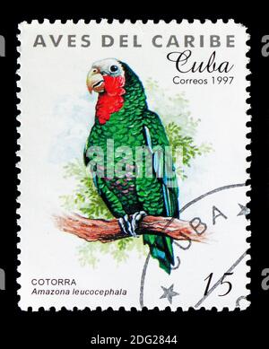 MOSCOU, RUSSIE - 18 AOÛT 2018 : un timbre imprimé à Cuba montre l'Amazonie cubaine (Amazona leucocephala), série des oiseaux des Caraïbes, vers 1997 Banque D'Images