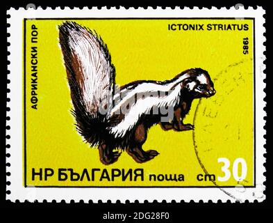 MOSCOU, RUSSIE - 21 OCTOBRE 2018 : un timbre imprimé en Bulgarie montre Zorilla ou Polecat à rayures (Ictonyx striatus), une série de prédateurs exotiques, vers 1985 Banque D'Images