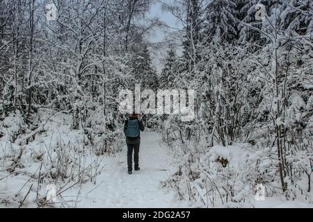 Solo randonnée dans la forêt enneigée gelée.paysage panoramique d'hiver avec des arbres couverts de neige, brouillard.pittoresque et magnifique scène d'hiver.froid Banque D'Images