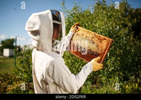 Une jeune apiculeuse en costume de apiculteur professionnel inspecte un cadre en bois avec des nids d'abeilles le tenant entre ses mains. Recueillir le miel. Beekeepi Banque D'Images