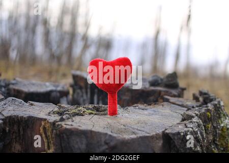 Petit coeur décoratif rouge sur la souche d'arbre dans le parc d'hiver. Banque D'Images