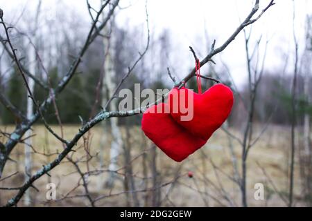 Coeurs en peluche rouges accrochés à la branche des arbres dans le parc d'hiver. Banque D'Images