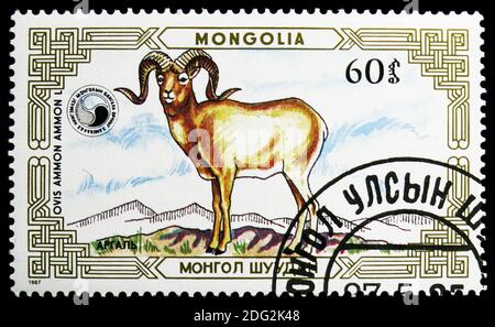 MOSCOU, RUSSIE - 10 NOVEMBRE 2018 : un timbre imprimé en Mongolie montre Argali (Ovis ammon), série de moutons de montagne (Ovis ammon), vers 1987 Banque D'Images