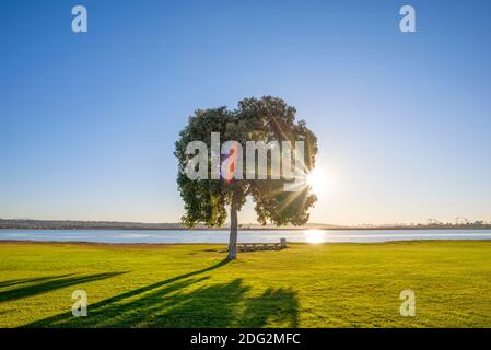 Matin de novembre au parc Mission Bay. San Diego, Californie, États-Unis. Banque D'Images