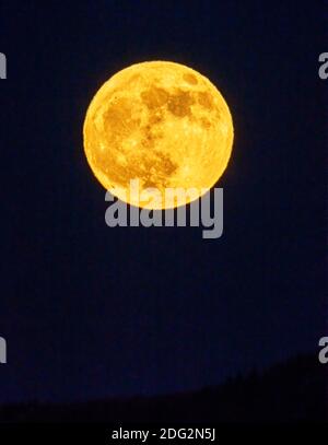 Full Beaver Moon; Frost Moon, Mourning Moon; s'élève au-dessus des montagnes Rocheuses; près de Salida; Colorado; États-Unis Banque D'Images