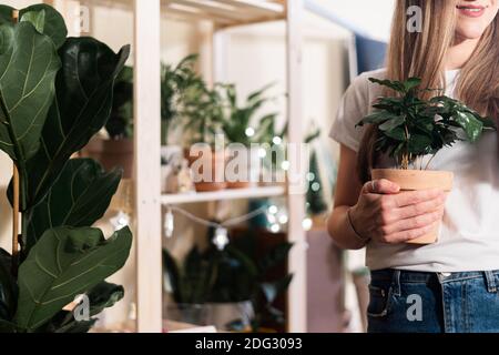 Femme cultivée tenant des plantes tropicales en terre cuite pot, travail de jardinage et travail pour les gens qui aiment la nature. Concept de décoration de jardin et d'intérieur Banque D'Images