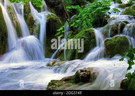 Cascade à Plitvice Jezera Banque D'Images