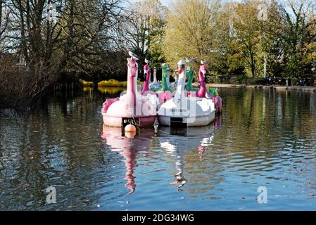 Pédalos ou pédalos amarrés sur le lac Alexandra Palace Park, quartier de Londres de Haringey Banque D'Images