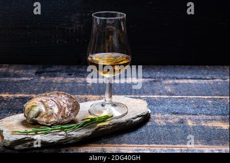 Accompagnement de nourriture et de boissons, huîtres plates européennes fraîches et crues cultivées en Bretagne dans la rivière Belon, en France, gros plan et whisky single malt scotch d'Islay is Banque D'Images