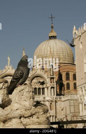 Masque porteur au carnaval de Venise Banque D'Images