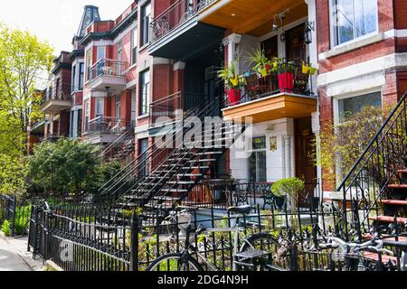 Bâtiments typiques dans une rangée plateau Mont-Royal, Montréal, Canada Banque D'Images