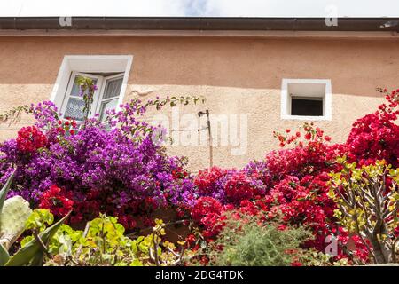 Porto Azzurro, détail de la façade, Elba, Toscane, Italie Banque D'Images