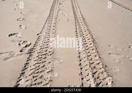 Chenilles pour pneus 4x4 sillonnent les chenilles pour pneus sur fond de texture sable. Banque D'Images
