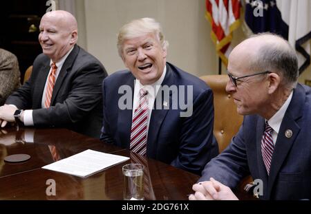 Le président américain Donald J. Trump s'exprime en tant que représentant Greg Walden (R) , le président de la Commission de l'énergie et du commerce et le président de la Commission des voies et moyens de la Chambre Kevin Brady (L) examine, lors d'une discussion sur les soins de santé dans la salle Roosevelt de la Maison Blanche le 10 mars, 2017 à Washington, DC. Photo par Olivier Douliery/Abaca Banque D'Images