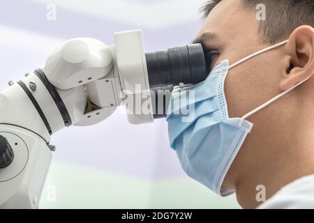 Dentiste à l'aide d'un microscope Banque D'Images