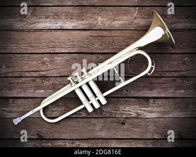 Trompette sur bois Banque D'Images