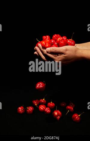 Mains tenant des poivrons rouges de piment habanero chauds. Épicé, cuisine et concept mexicain. Banque D'Images